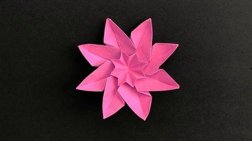 网红明星 第3页